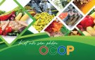 Hội đồng đánh giá, phân hạng sản phẩm OCOP huyện Triệu Sơn tổ chức hội nghị đánh giá, phân hạng sản phẩm OCOP cấp huyện đợt 1 năm 2023